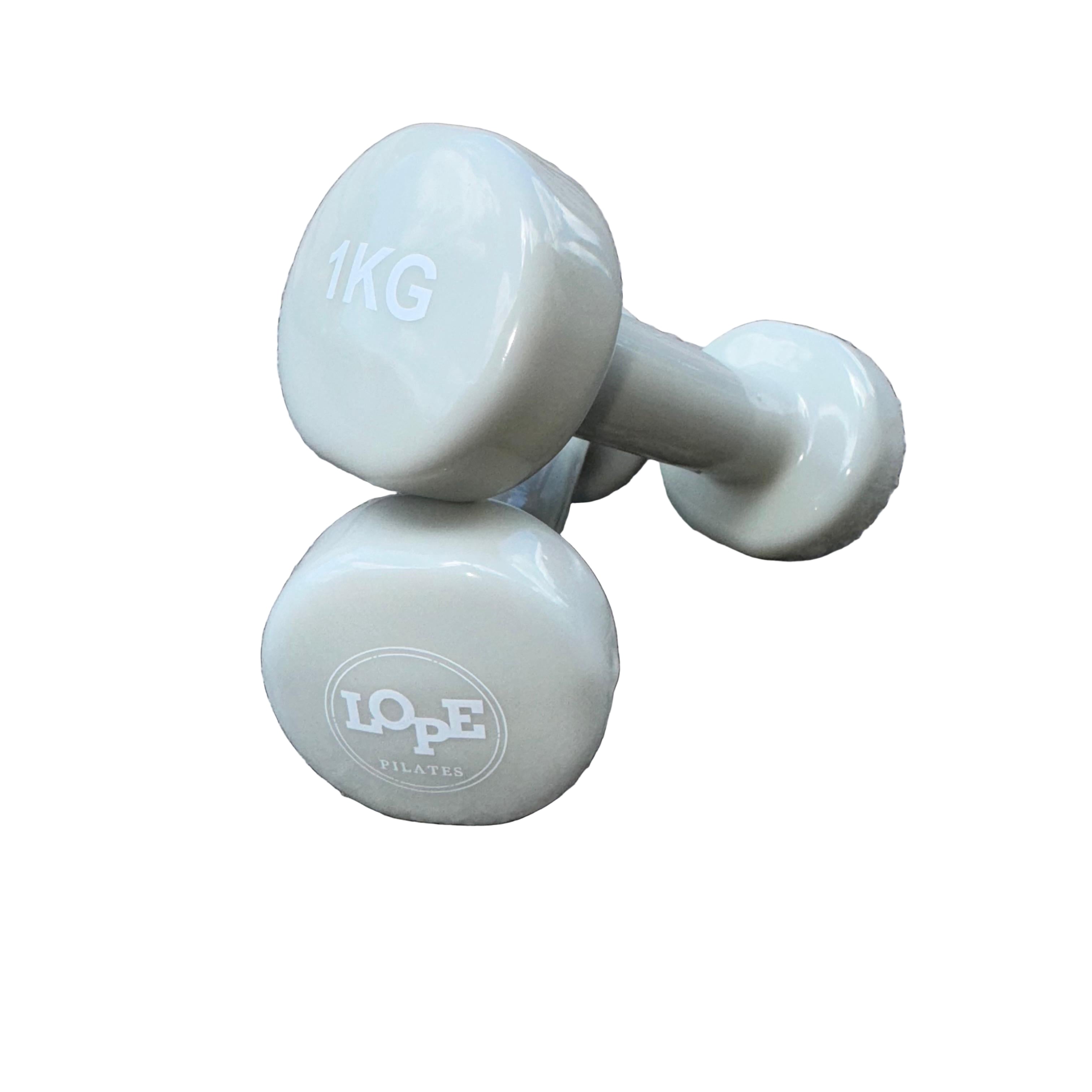1kg Dumbbells Creamy Sage
